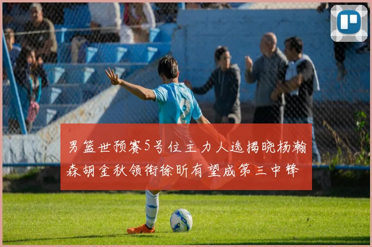 男篮世预赛5号位主力人选揭晓杨瀚森胡金秋领衔徐昕有望成第三中锋